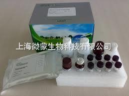 安捷倫氣相色譜 生物科技研發中的精密儀器選擇與采購指南