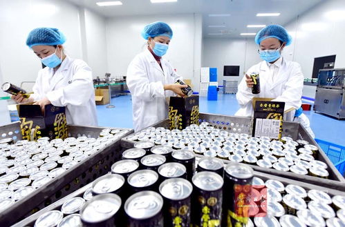青磚涼茶試產 生物科技開啟健康新風尚